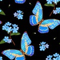 Forget-me-not flowers and butterflies. Floral seamless pattern with neon blue butterfly and Forget-me-not Flowers Myosotis on a Royalty Free Stock Photo